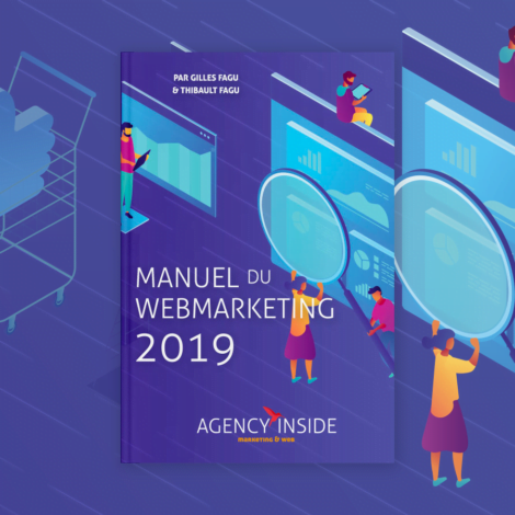 manuel webmarketing 2019