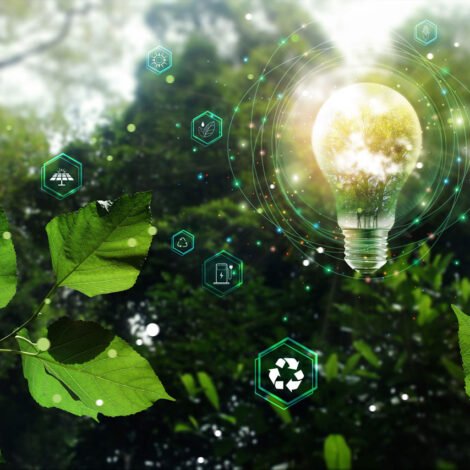 creer site internet eco friendly