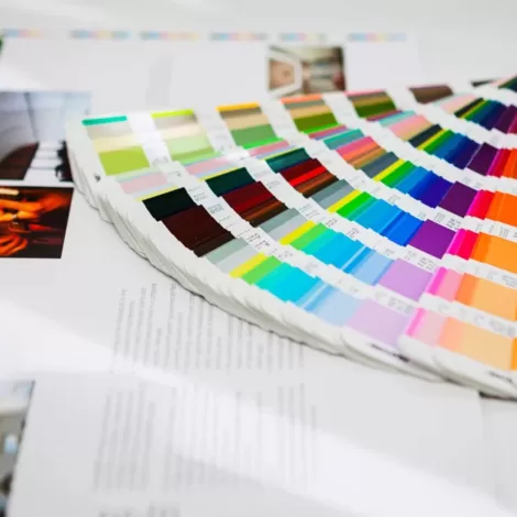 charte graphique logo